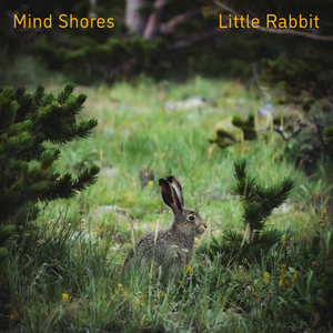 久久网日韩中文字幕
