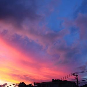 久久网日韩中文字幕
