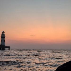 久久网日韩中文字幕
